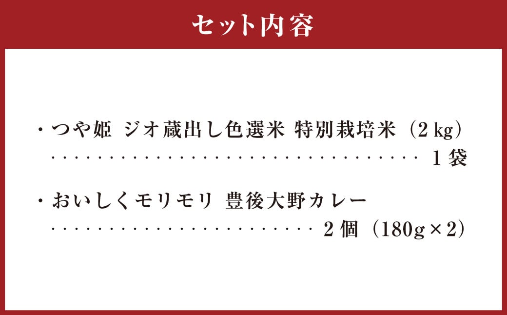 015-993x1 豊後大野市産 つや姫と豊後大野カレーセット