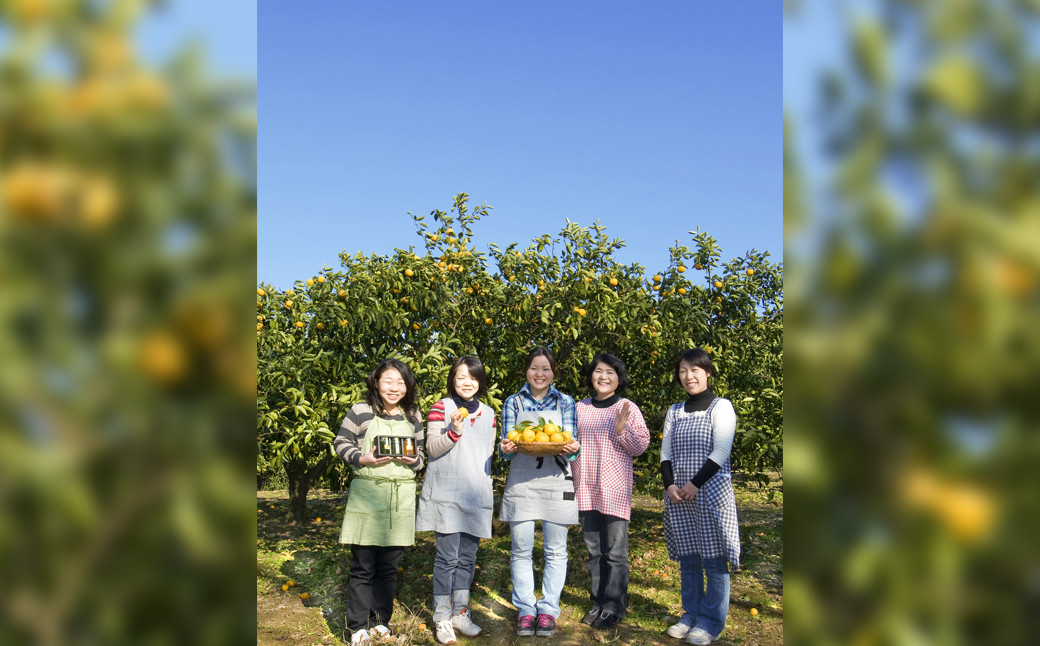 020-575 やまのまりも（早採りかぼすの甘露煮） 2本セット カボス