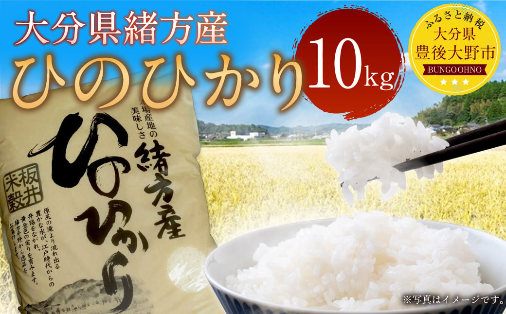 009-1279 令和6年産 大分県 緒方産 ひのひかり 10kg 1袋 白米 コメ 精米 米 お米 ヒノヒカリ