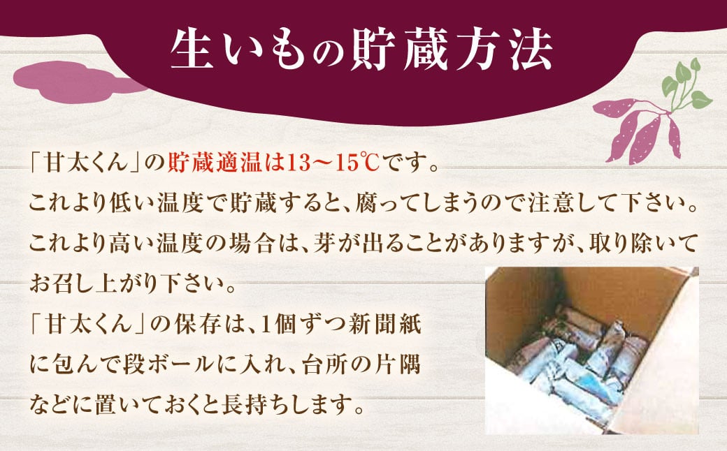 171-1130 【先行予約】 高糖度さつまいも 甘太くん 約1.8kg（Lサイズ3本・Mサイズ5本） 小箱 サツマイモ 甘藷 かんしょ おやつ 焼き芋 【2024年11月下旬から2025年4月下旬発送予定】