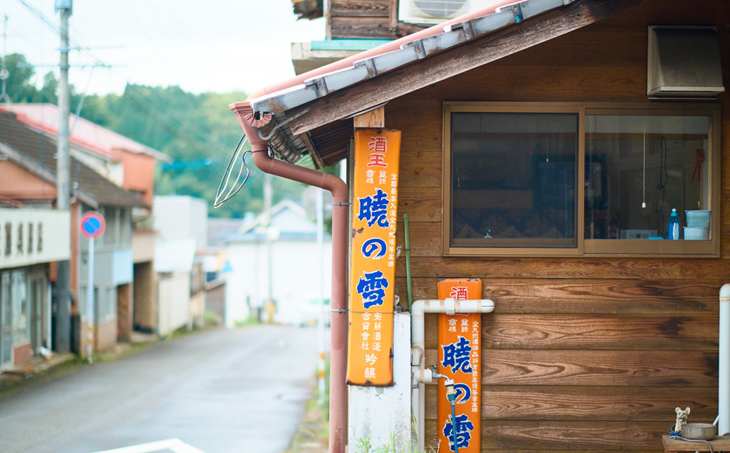 117-572 ここのね自由な学校 視察券＋年間報告レポート 見学 豊後大野市