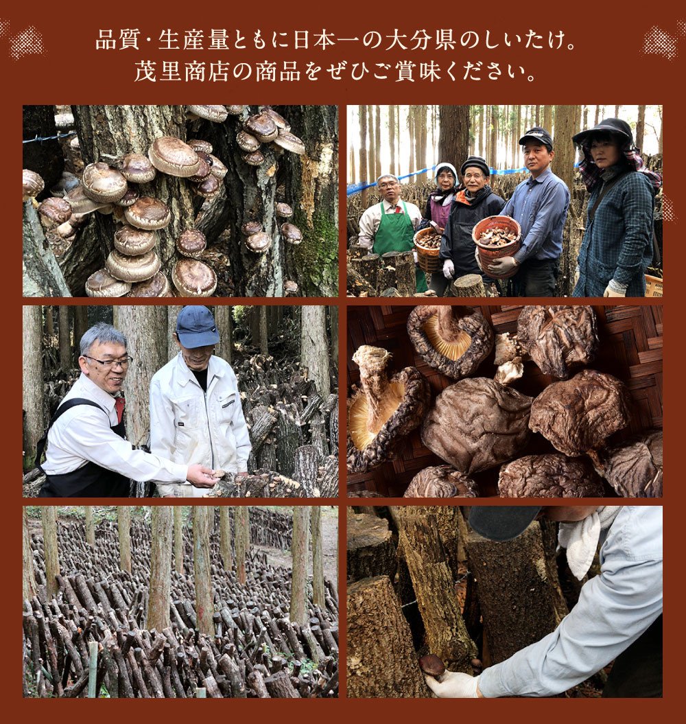 015-601x1 椎茸かぼす塩 と 椎茸かぼすペッパー 各2本 4本セット 調味料 豊後大野市