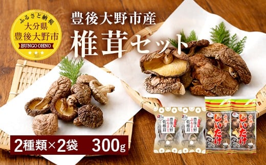 015-1220x1 豊後大野市産 椎茸セット 合計300g うまみだけ