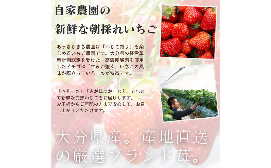 105-1108 大分県産 冷凍いちご 約600g×3パック 合計約1.8kg 急速冷凍 個装 いちご イチゴ 苺 フルーツ 果実 完熟