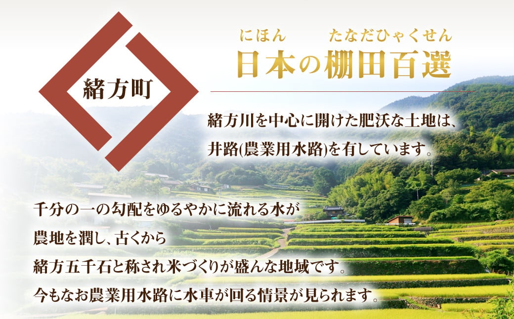 009-1257 令和6年産 大分県 緒方産 ひのひかり 5kg 専用箱入り