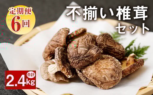 015-962x2 縲仙ョ壽悄萓ソ蛛カ謨ー譛育匱騾∝ケエ6蝗槭台ク肴純縺 讀手減 10陲凝6蝗