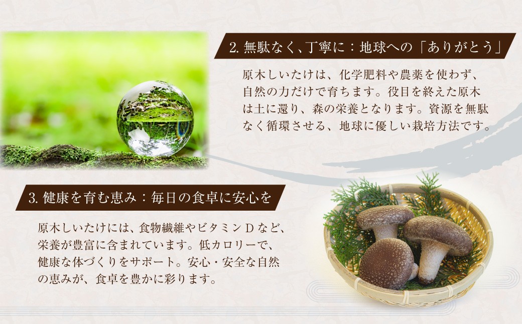 015-695x1 【入金確認後14日以内に発送】 山盛り うまみだけ どんこ椎茸 400g 椎茸 きのこ 茸