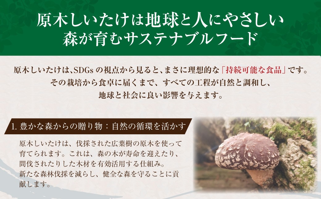 015-695x1 【入金確認後14日以内に発送】 山盛り うまみだけ どんこ椎茸 400g 椎茸 きのこ 茸