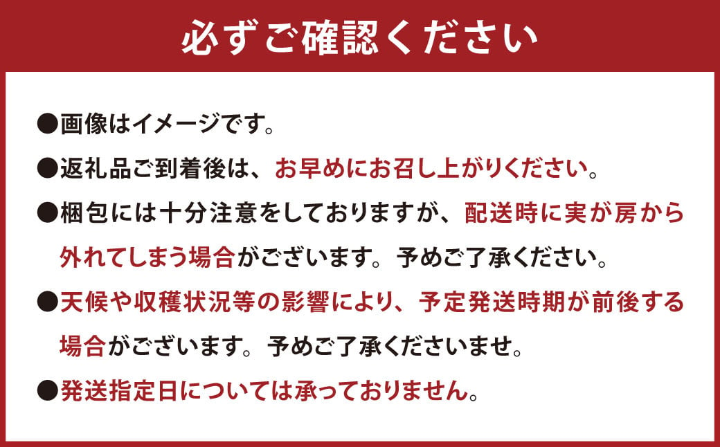 056-1119x1 【先行予約】 シャインマスカット 2房 合計約1.2kg 種なし ぶどう 【2025年9月下旬から10月下旬発送予定】