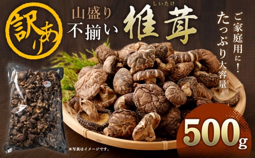 015-1185 山盛り 不揃い 椎茸 500g 訳あり 乾燥椎茸 きのこ 茸