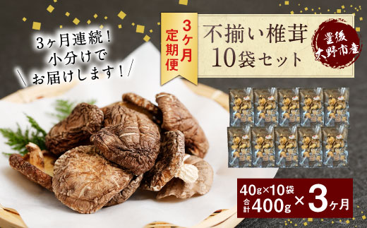 015-961x1 【定期便3ヶ月連続発送】不揃い 椎茸 10袋×3回