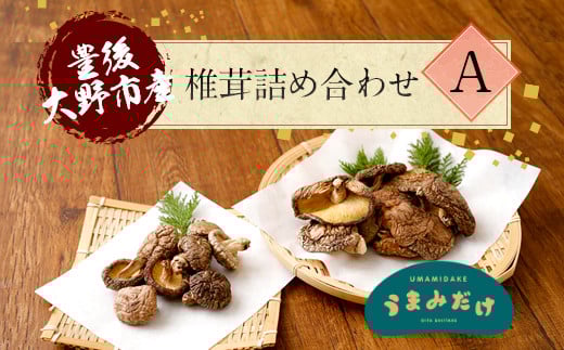 015-1221x1 豊後大野市産 椎茸 詰め合わせA  6袋セット うまみだけ