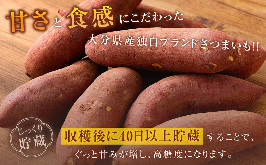 171-1134 【先行予約】 高糖度さつまいも 甘太くん 約1.2kg（Lサイズ2本・Mサイズ3本） サツマイモ 甘藷 かんしょ おやつ 焼き芋 【2024年11月下旬から2025年4月下旬発送予定】