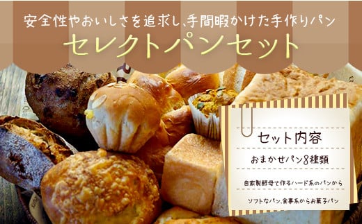 046-717 お山のキッチンウスダ セレクト パン セット 8種類 おまかせ 手作りパン 冷凍
