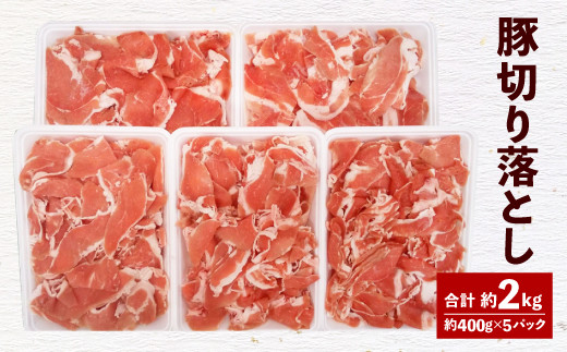 093-476 大分県産 米の恵 豚 切落し 約2kg 約400g×5 豚肉
