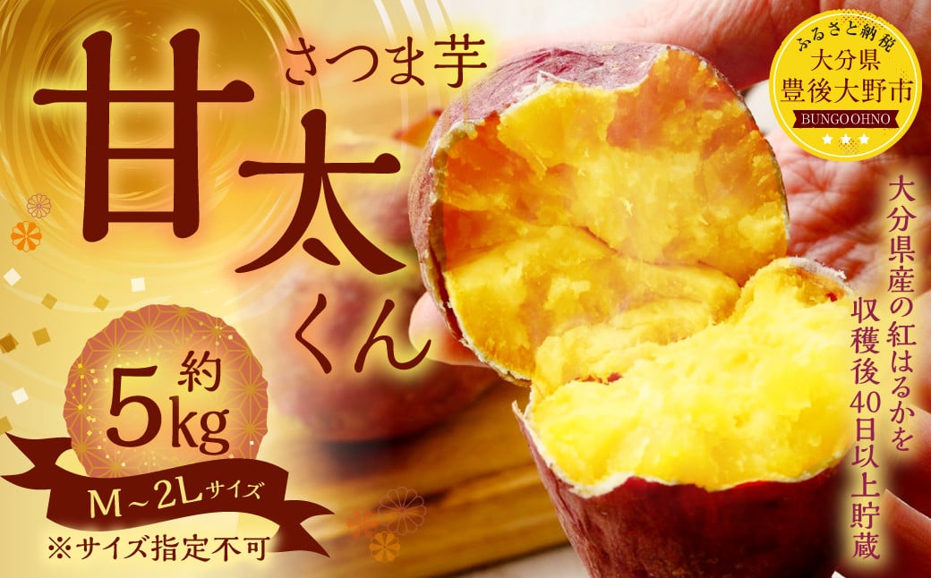 134-1145x1 逕伜、ェ縺上s 5kgシ茨シュス2L繧オ繧、繧コシ 縺輔▽縺セ縺繧 闃 邏縺ッ繧九° 縲2025蟷エ12譛井ク区流ス2026蟷エ4譛井ク頑流逋コ騾∽コ亥ョ壹