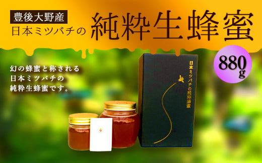 025-766 日本ミツバチ の 純粋 生蜂蜜 880g ハチミツ はちみつ 国産 生はちみつ
