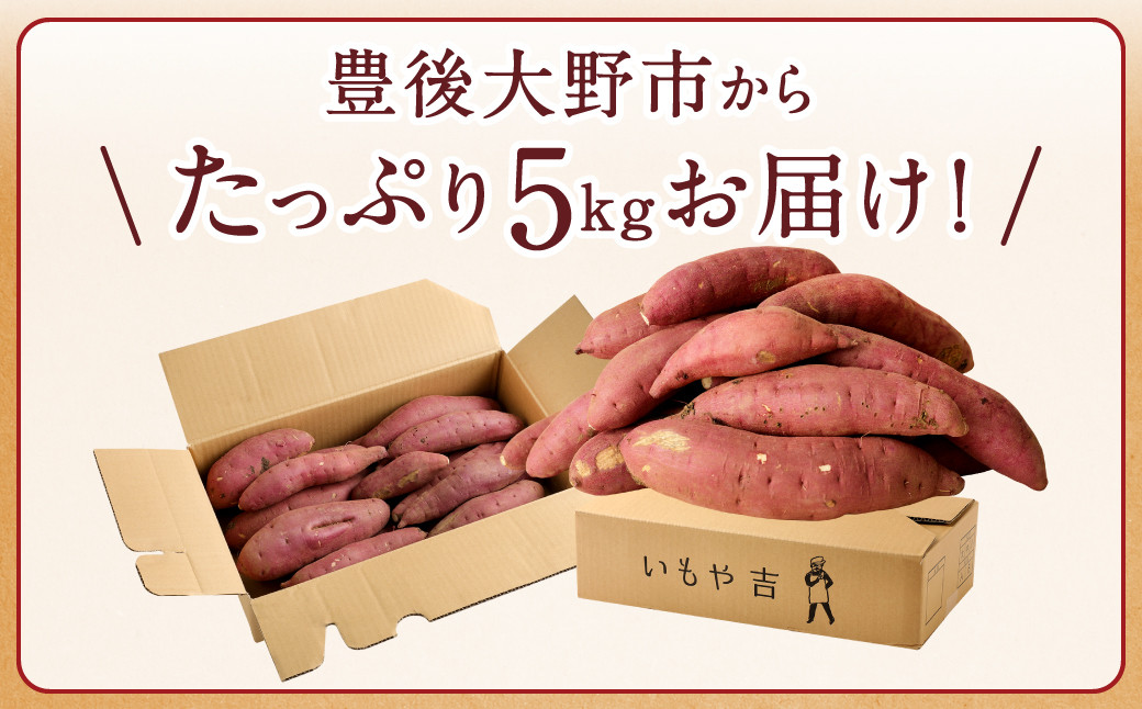 098-1188 【先行予約】【ご自宅用】【訳あり】 紅はるか 5kg B品 甘藷 べにはるか さつまいも サツマイモ 豊後大野市 事前予約 【2024年12月上旬から2025年5月上旬発送予定】