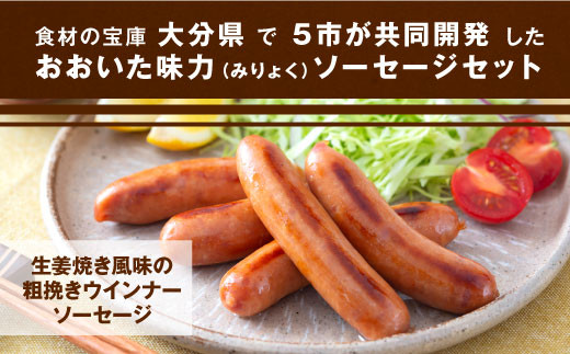 070-1099 おおいた 味力 ソーセージ セット  2.28kg ベーコン