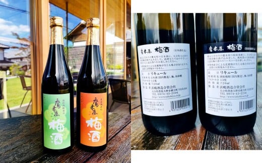 101-898x1 浜嶋酒造 こだわりの仕込みを味わう 鷹来屋 梅酒 2種 飲み比べ セット お酒