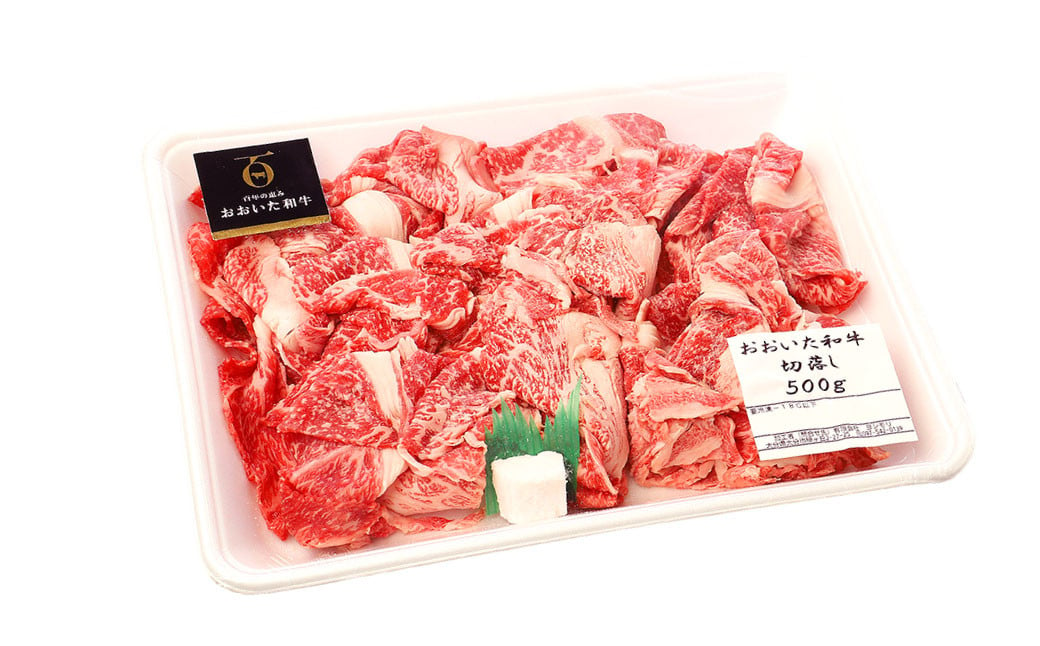 173-1176 おおいた和牛 切り落とし（500g）厳選 国産 和牛 肉 牛肉 冷凍 肉じゃが 牛丼 焼肉 カレー シチュー 炒め物