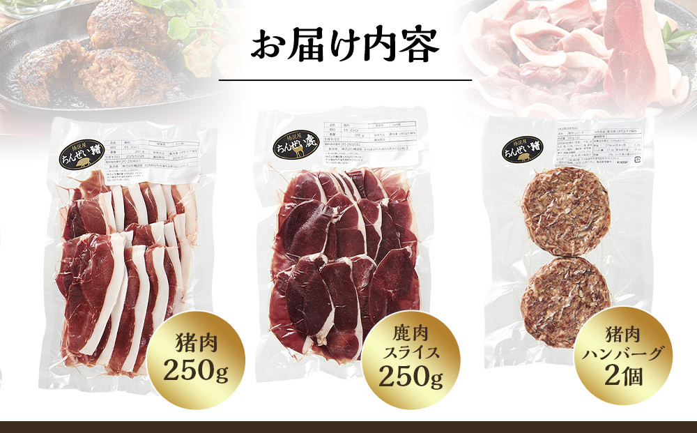荵晏キ樒肇繧ク繝薙お迪ェ閧250g繝サ鮖ソ閧峨せ繝ゥ繧、繧ケ250gシ迪ェ閧峨ワ繝ウ繝舌シ繧ーシ貞九ョ繧サ繝繝