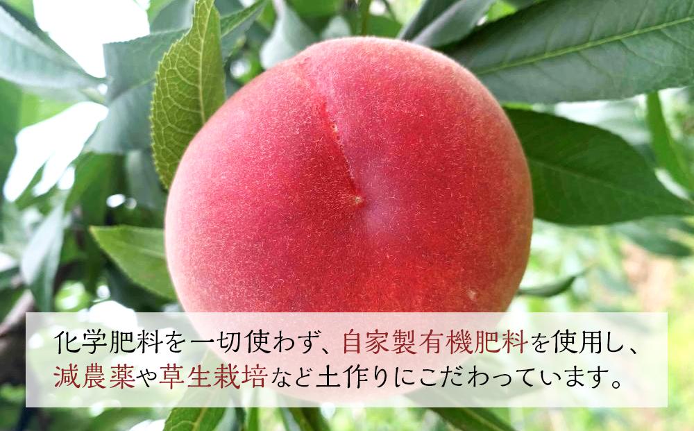 【定期便 全2回／2025年8・9月発送】＜旬の桃おまかせ2kg・6～8玉＞×2回（自家製有機肥料・減農薬・化学肥料無使用）