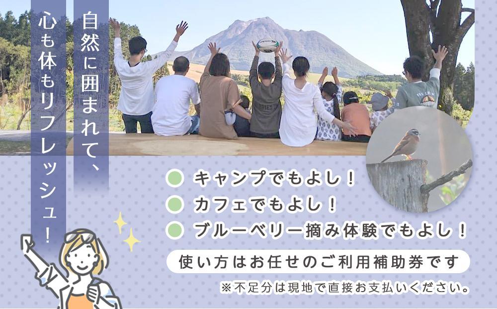 【湯布院 熊谷牧場・雛戸】施設内なんでも使える！ブルーベリー・キャンプガーデン ご利用補助券 6,000円分