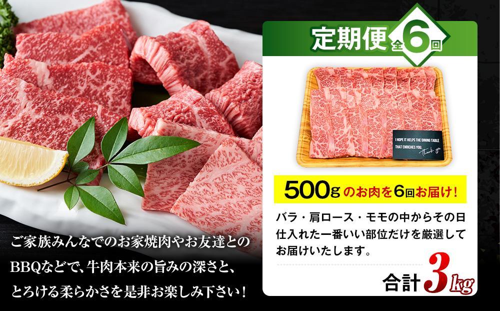 【定期便 全6回】おおいた和牛 焼肉用 500g