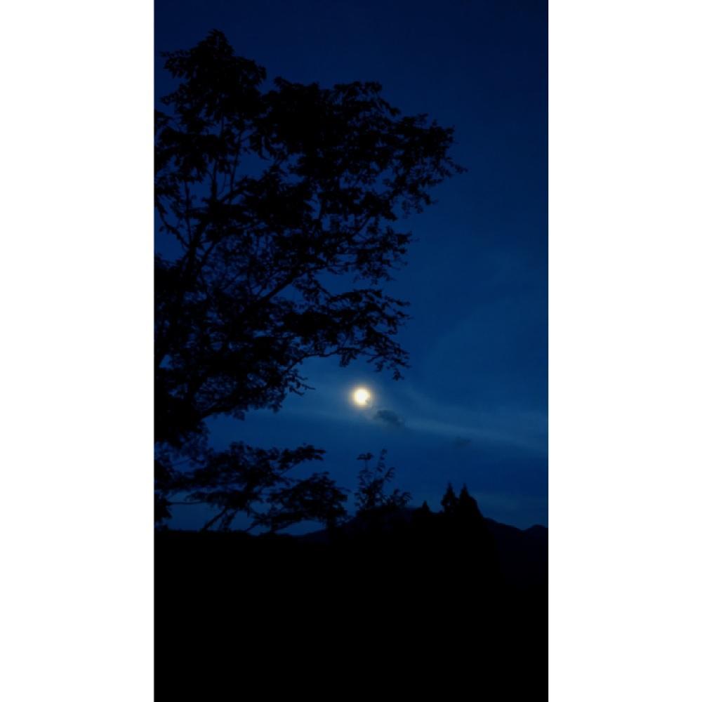 湯åžé¢ãïŒïŒ©ïŒ«ïŒ¡ïŒŽïŒ¡ããªãªãžãã«ãã¬ã³ããšãã»ã³ã·ã£ã«ãªã€ã«ãå¹»é
ãŒGENSUIãŒ