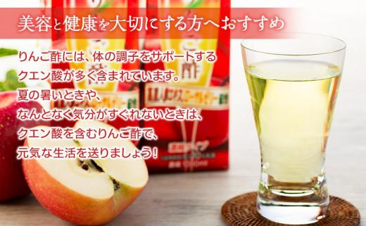 【定期便 6か月】濃縮りんご酢 1000ml×2本（常温保存可能品）