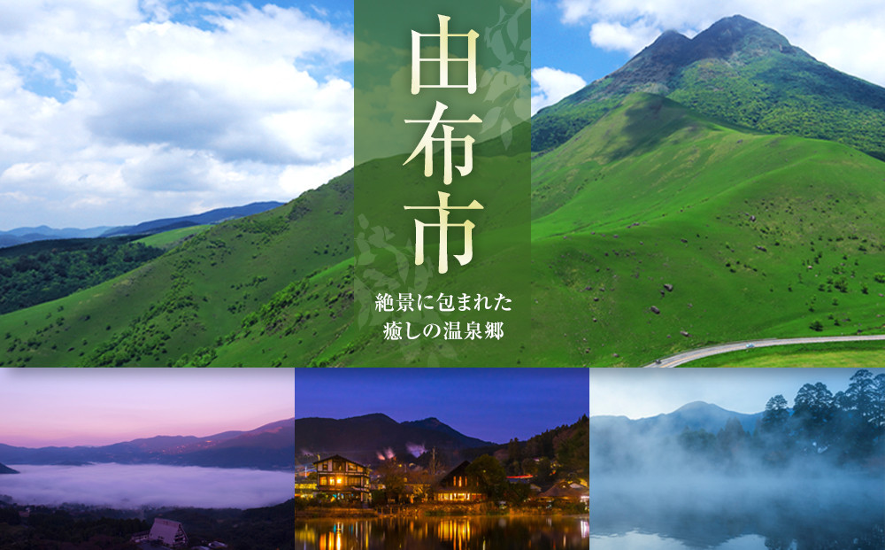 【食工房　風曜日】2種のジャムセット（ブルーベリー・ポポー）