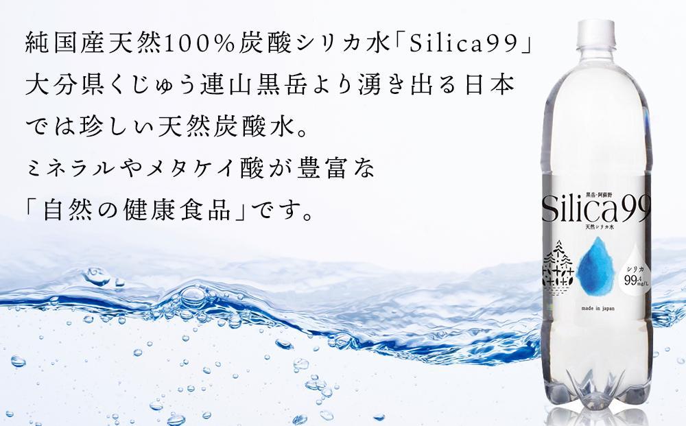 ＜３ヶ月連続お届け 定期便＞天然炭酸水Silica99　1500ml×12本