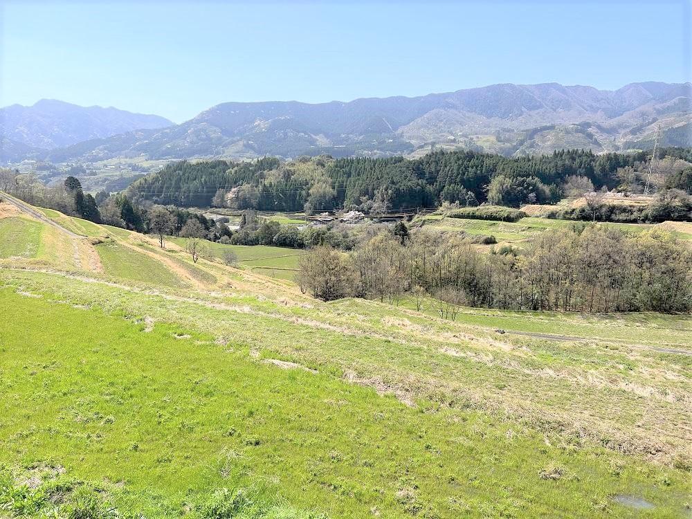 ãæäœãéè²šå± æšå¿å·¥æ¿ãæšã®ãããã®ãªããžã§ïŒçœïŒ