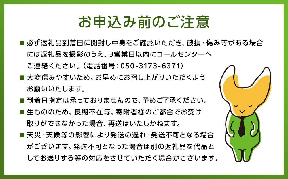 【2025年発送/先行予約】湯布院の温泉で育てたいちご おまかせ約1kg（約250g×4パック）