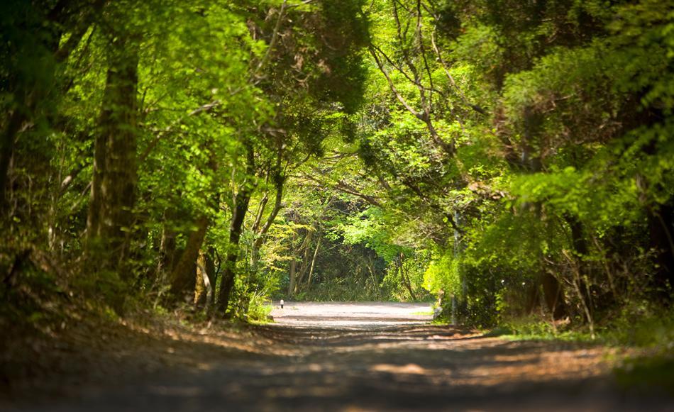 ãã©ã¬ã¹ãã€ã³ãã³ã宿æ³å©çšåž60,000ååïŒæ¹¯åžé¢ å¡åé«åïŒ