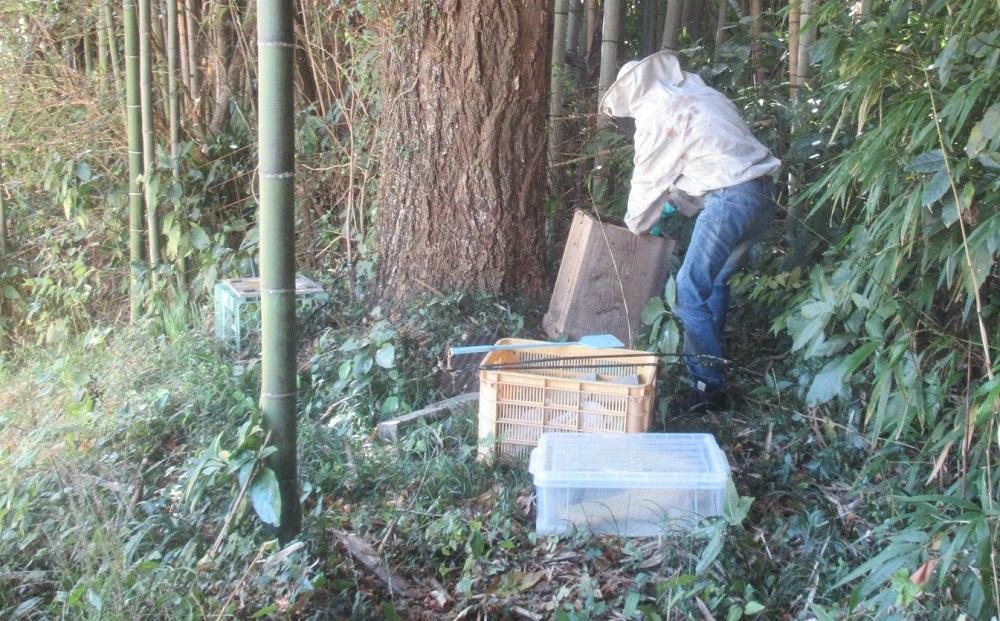 【数量限定】国産はちみつ「秋採和蜜」100g×2個＜無添加・非加熱ニホンミツバチの純粋蜂蜜＞