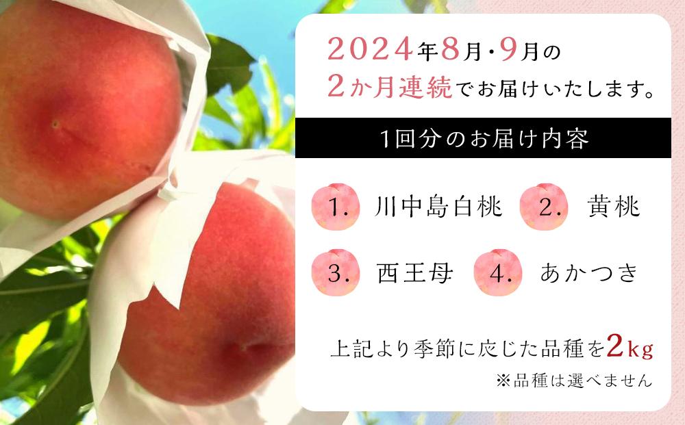 【定期便 全2回／2025年8・9月発送】＜旬の桃おまかせ2kg・6～8玉＞×2回（自家製有機肥料・減農薬・化学肥料無使用）