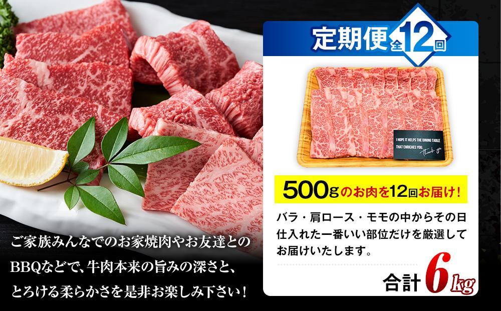 【定期便 全12回】おおいた和牛 焼肉用 500g