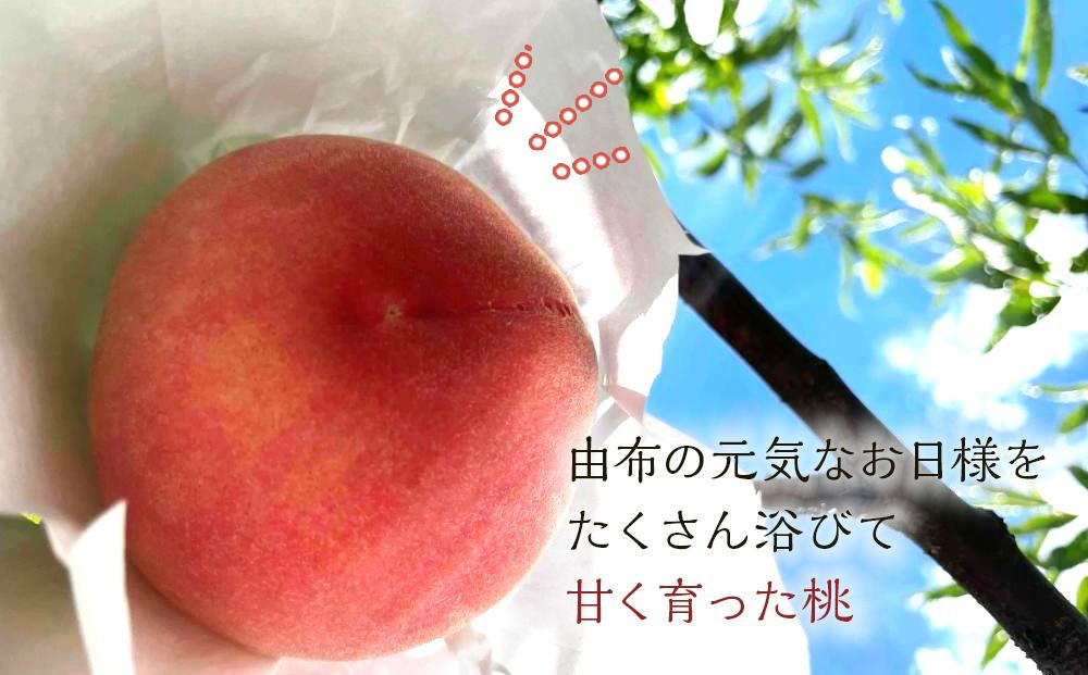 【2026年8月中旬以降より発送】旬の桃おまかせ約2kg・6～9玉（自家製有機肥料・減農薬・化学肥料無使用） 川中島白桃 黄桃 西王母 あかつき