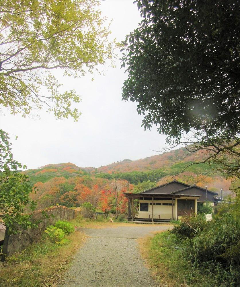 【数量限定】国産はちみつ「秋採和蜜」100g×2個＜無添加・非加熱ニホンミツバチの純粋蜂蜜＞