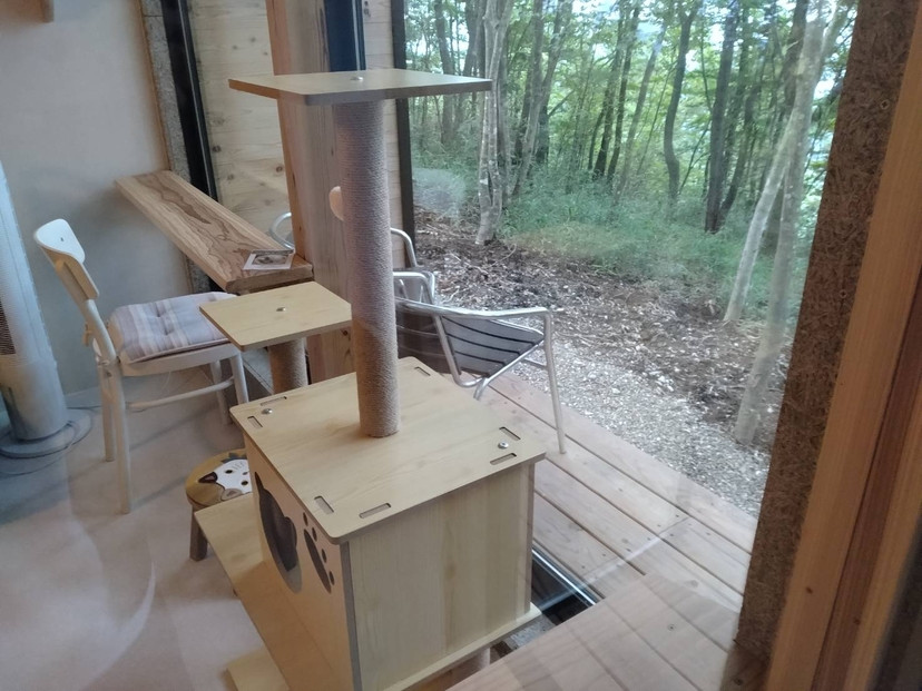 YUFUIN HOGONEKO FOREST縲譽ョ縺ョ荳ュ縺ァ菫晁ュキ迪ォ縺ィ荳邱偵↓螳ソ豕翫〒縺阪k繝√こ繝繝茨シ亥ケエ譛ォ蟷エ蟋倶ク榊庄縲鬟滉コ九↑縺暦シ