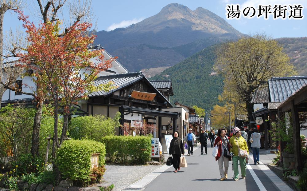 【湯布院、由布院、湯平、塚原高原】JTBふるさと旅行クーポン（Eメール発行）（15,000円分）