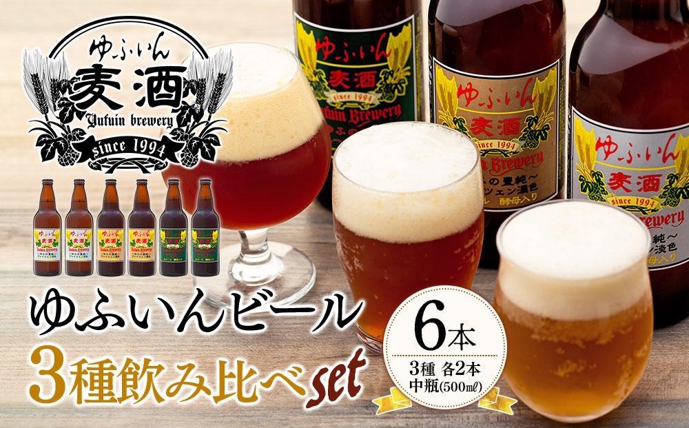 【定期便 全3回】毎月のご褒美に♪おおいた和牛・ゆふいんビール の豪華コラボ定期便（和牛ハンバーグ10個・ビール６本・サーロインステーキ３枚）