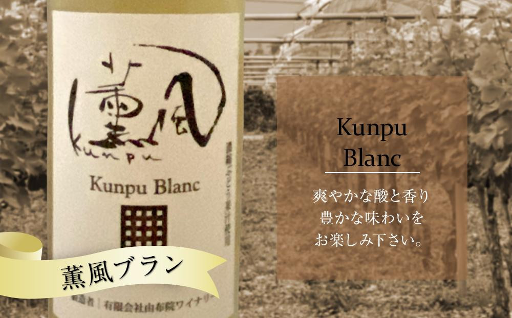 【ゆふの福袋】＜ゆふぶくろ＞今夜はおしゃれに♪パンとワインのお供セット（赤ワイン・白ワイン 各1本ずつ）