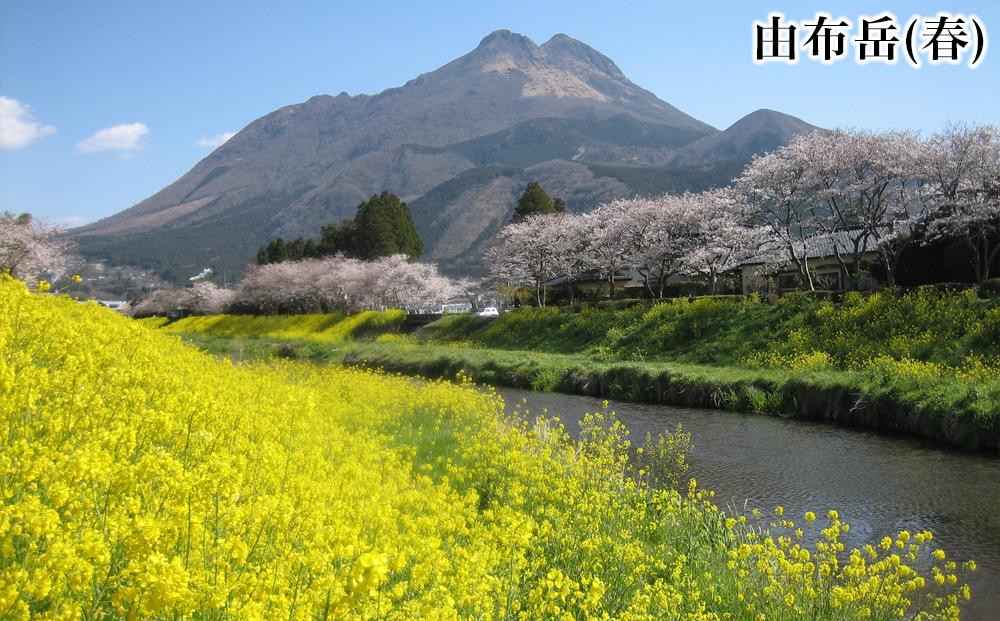 【湯布院、由布院、湯平、塚原高原】JTBふるさと旅行券（紙券）900,000円分