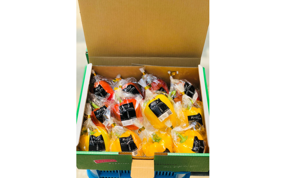 ジューシーパプリカ大玉セット (約2～2.5kg)