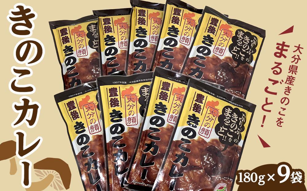 ＼年内発送／ 大分県産きのこをまるごと！豊後きのこカレー 180g×9袋 セット