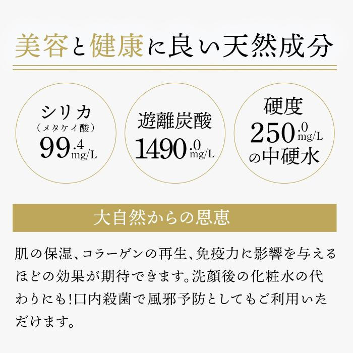 ＜ゆふぶくろ＞お家居酒屋！由布ハイセット（由布之郷  720ml×2本・天然炭酸水Silica99 500ml×24本）【ゆふの福袋】