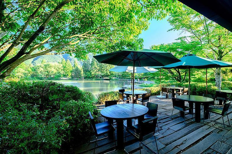 【全6回定期便】由布院　湖畔のベーカリーカフェのこだわり焙煎珈琲豆セット(3種)～カフェラリューシュ～